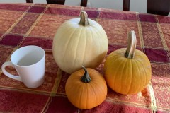 Pumpkins on table