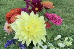 Flowers