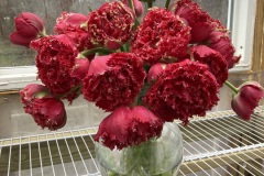 Greenhouse Flowers