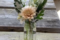 Spring Flower