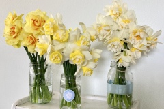 Yellow flower display