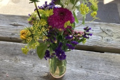 Spring Flowers